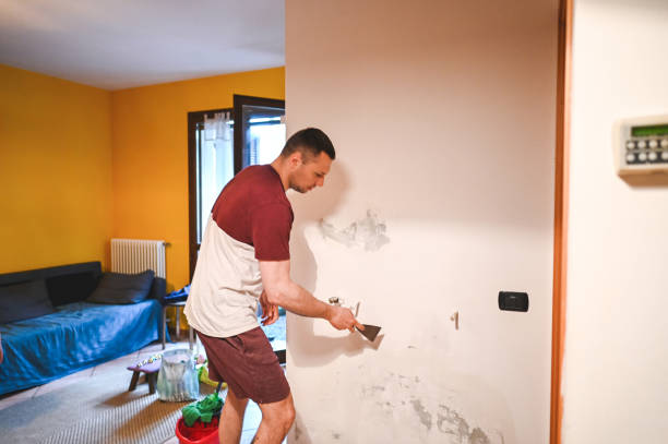 Best Mold Removal Company Near Me  in Springfield, OH