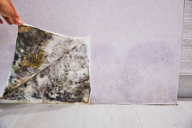 Water Damage Restoration in Springfield, OH